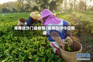 海南白沙门县疫情/海南白沙今日新闻