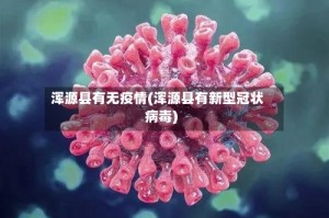 浑源县有无疫情(浑源县有新型冠状病毒)