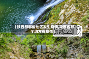 【陕西都哪些地区发生疫情,陕西省那个地方有疫情】
