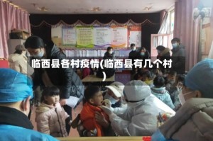 临西县各村疫情(临西县有几个村)