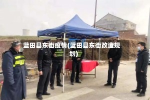 蓝田县东街疫情(蓝田县东街改造规划)