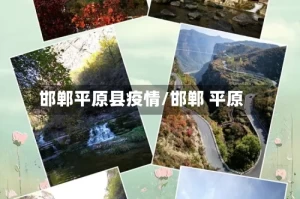 邯郸平原县疫情/邯郸 平原