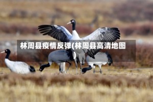 林周县疫情反弹(林周县高清地图)