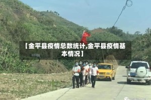 【金平县疫情总数统计,金平县疫情基本情况】