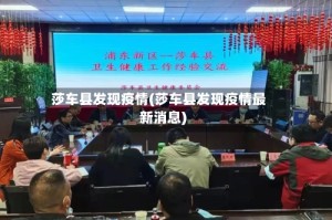 莎车县发现疫情(莎车县发现疫情最新消息)