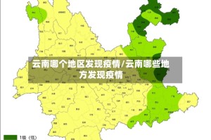 云南哪个地区发现疫情/云南哪些地方发现疫情