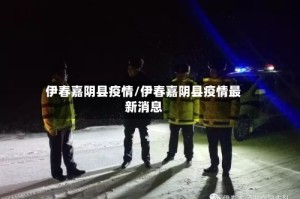 伊春嘉阴县疫情/伊春嘉阴县疫情最新消息