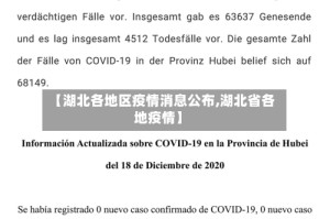 【湖北各地区疫情消息公布,湖北省各地疫情】