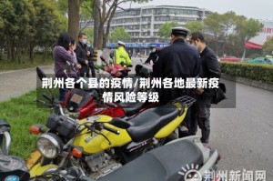 荆州各个县的疫情/荆州各地最新疫情风险等级