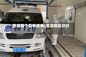 芜湖哪个县有疫情(芜湖疫区划分)