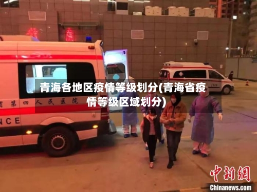 青海各地区疫情等级划分(青海省疫情等级区域划分)-第2张图片