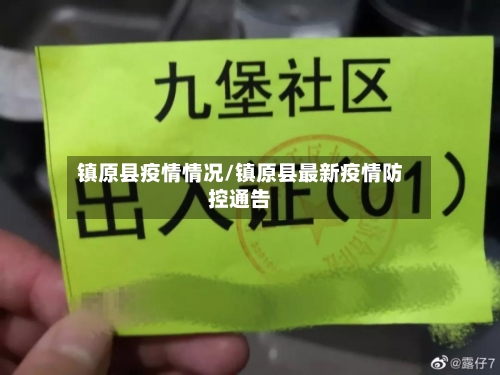 镇原县疫情情况/镇原县最新疫情防控通告-第2张图片