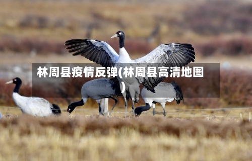 林周县疫情反弹(林周县高清地图)-第1张图片