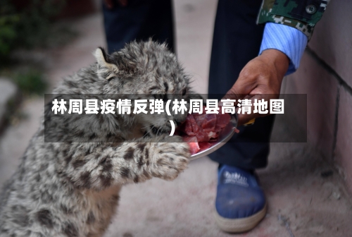 林周县疫情反弹(林周县高清地图)-第2张图片