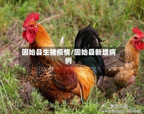 固始县生猪疫情/固始县新增病例-第3张图片