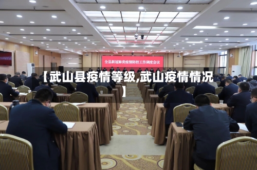 【武山县疫情等级,武山疫情情况】-第1张图片
