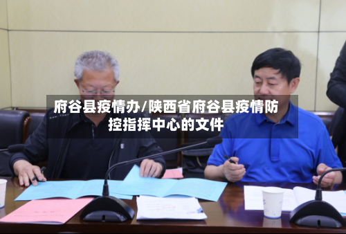 府谷县疫情办/陕西省府谷县疫情防控指挥中心的文件-第2张图片
