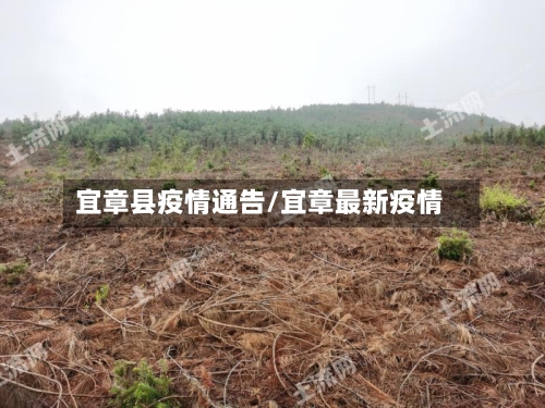 宜章县疫情通告/宜章最新疫情-第1张图片