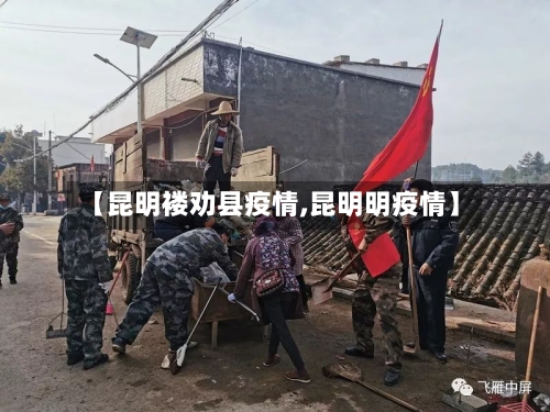 【昆明褛劝县疫情,昆明明疫情】-第2张图片