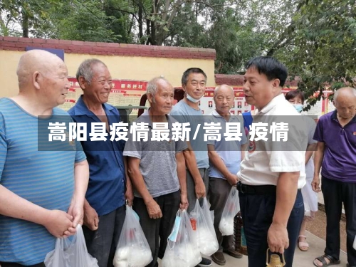 嵩阳县疫情最新/嵩县 疫情-第2张图片