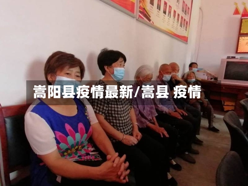 嵩阳县疫情最新/嵩县 疫情-第3张图片