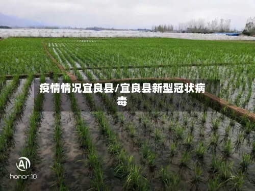 疫情情况宜良县/宜良县新型冠状病毒-第1张图片