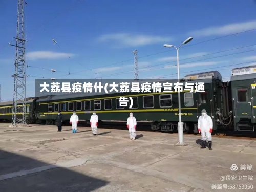 大荔县疫情什(大荔县疫情宣布与通告)-第3张图片