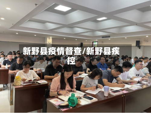 新野县疫情督查/新野县疾控-第3张图片