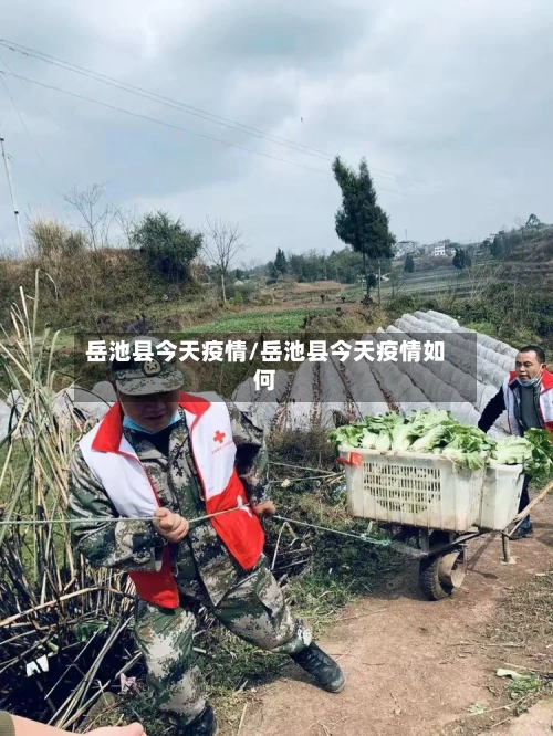 岳池县今天疫情/岳池县今天疫情如何-第2张图片