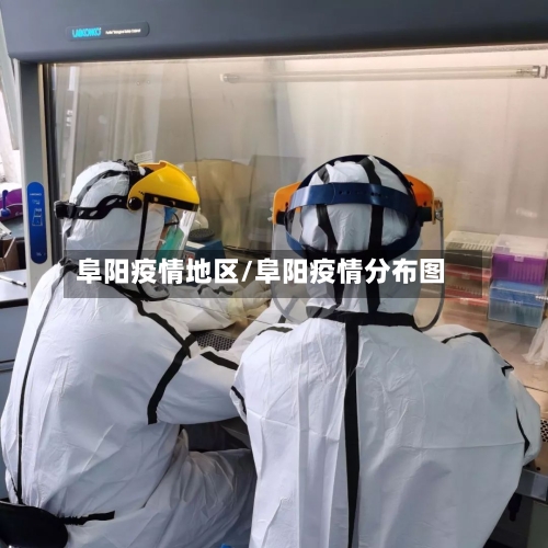 阜阳疫情地区/阜阳疫情分布图-第2张图片
