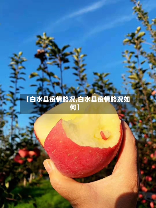 【白水县疫情路况,白水县疫情路况如何】-第2张图片