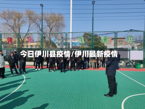 今日伊川县疫情/伊川最新疫情-第1张图片