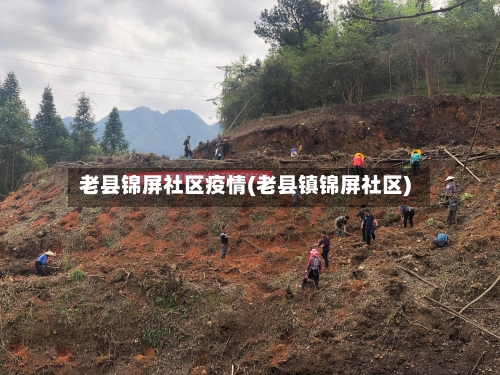 老县锦屏社区疫情(老县镇锦屏社区)-第2张图片