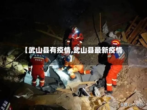 【武山县有疫情,武山县最新疫情】-第2张图片