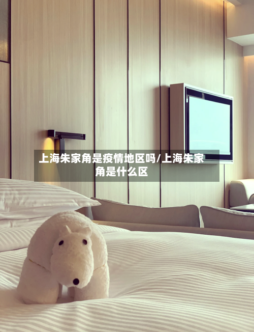 上海朱家角是疫情地区吗/上海朱家角是什么区-第2张图片