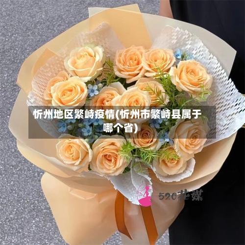 忻州地区繁峙疫情(忻州市繁峙县属于哪个省)-第2张图片