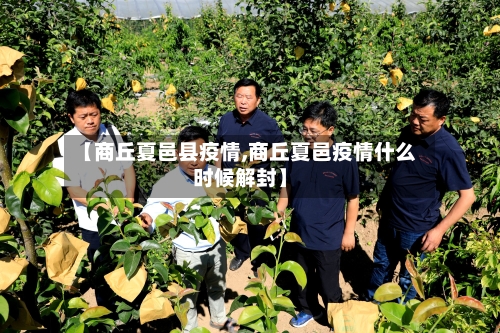 【商丘夏邑县疫情,商丘夏邑疫情什么时候解封】-第3张图片