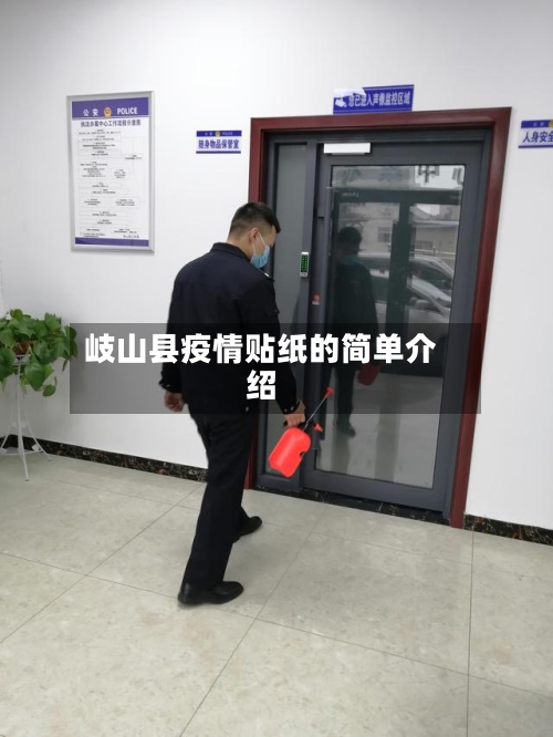 岐山县疫情贴纸的简单介绍-第1张图片