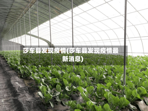 莎车县发现疫情(莎车县发现疫情最新消息)-第2张图片