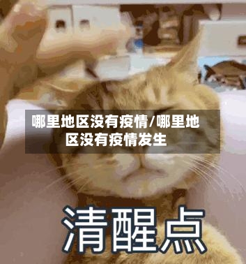 哪里地区没有疫情/哪里地区没有疫情发生-第1张图片