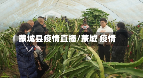 蒙城县疫情直播/蒙城 疫情-第1张图片