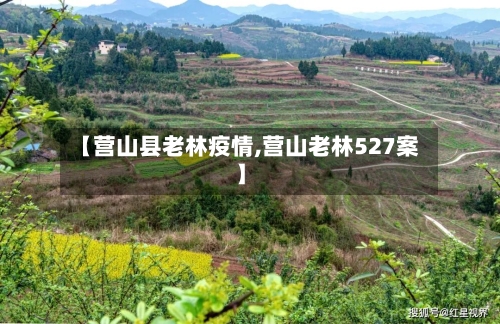 【营山县老林疫情,营山老林527案】-第1张图片