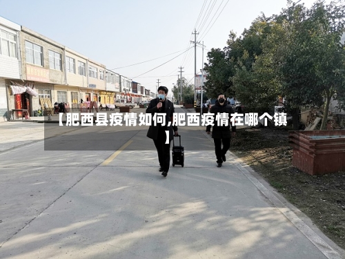 【肥西县疫情如何,肥西疫情在哪个镇】-第2张图片