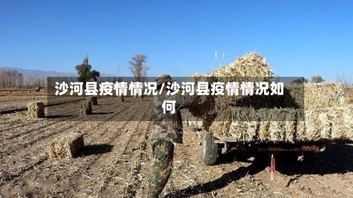 沙河县疫情情况/沙河县疫情情况如何-第3张图片