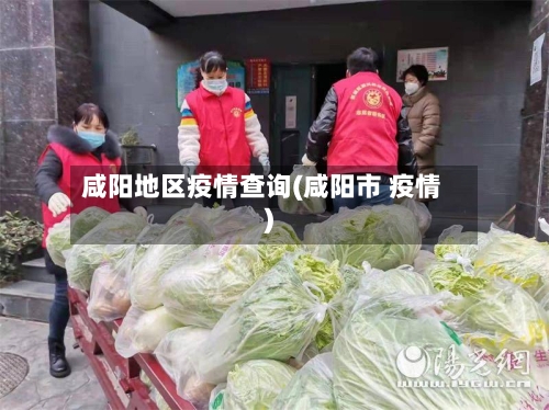 咸阳地区疫情查询(咸阳市 疫情)-第2张图片