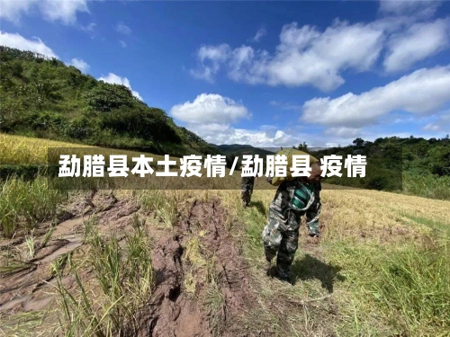 勐腊县本土疫情/勐腊县 疫情-第1张图片