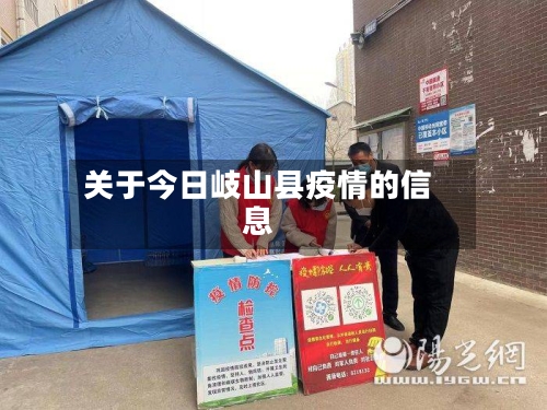 关于今日岐山县疫情的信息-第2张图片