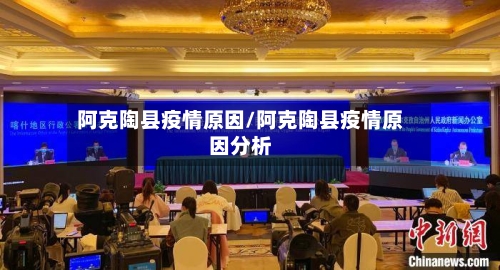 阿克陶县疫情原因/阿克陶县疫情原因分析-第3张图片