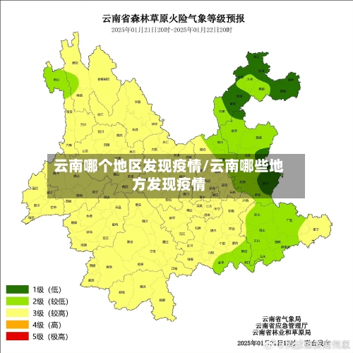 云南哪个地区发现疫情/云南哪些地方发现疫情-第1张图片
