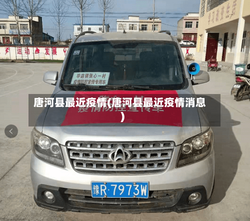 唐河县最近疫情(唐河县最近疫情消息)-第1张图片